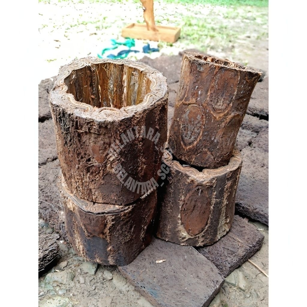 Pot Batang Pakis-Media Tanaman