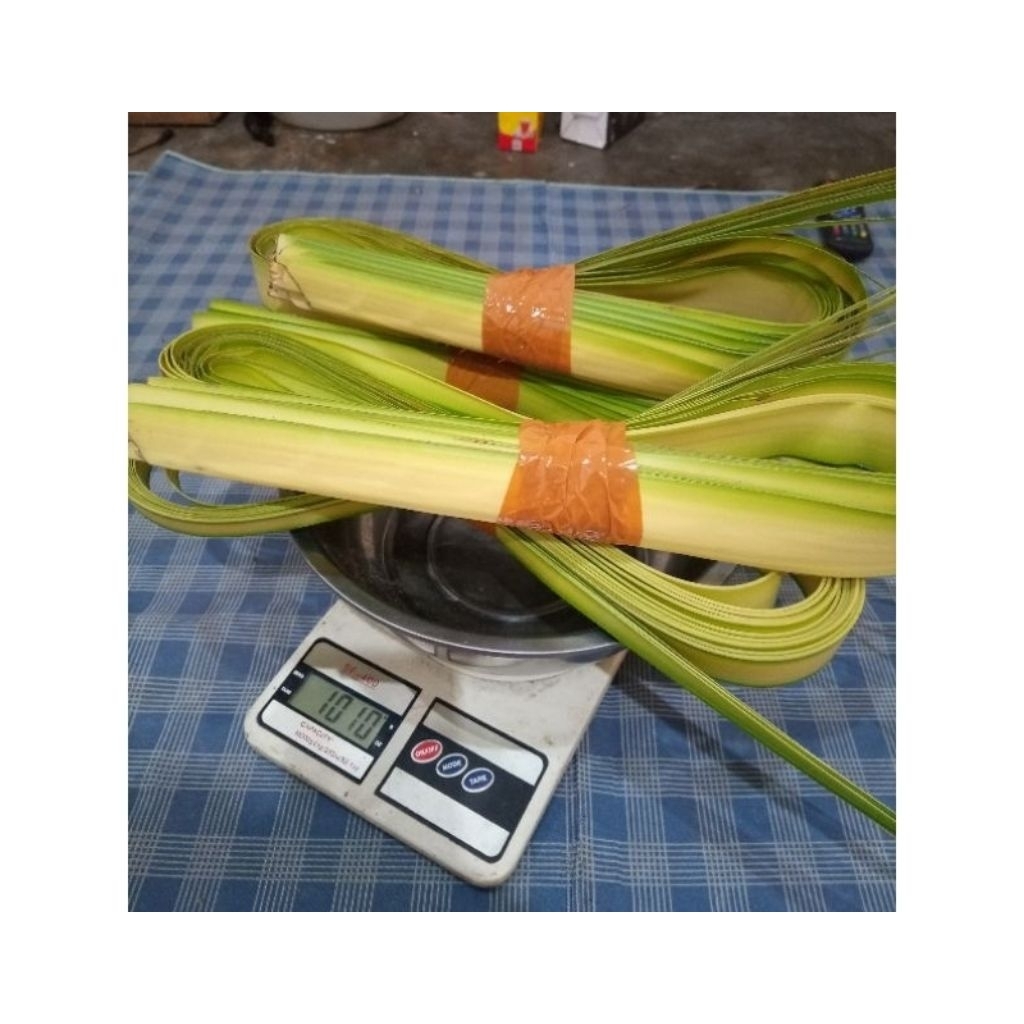 

PROMO!!Janur kuning Bungkus ketupat/Daun kelapa muda untuk cangkang ketupat