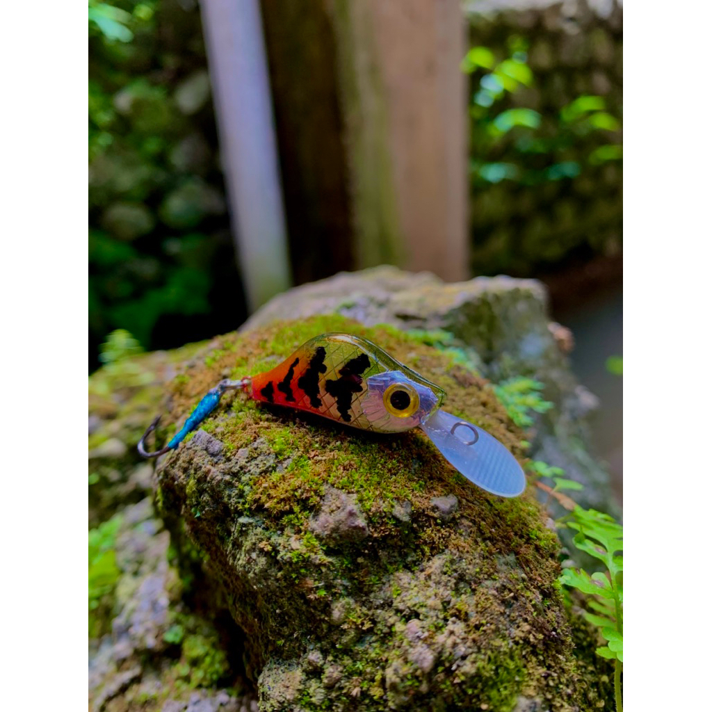 Lure minnow 3Cm untuk masher hampala anti boncos