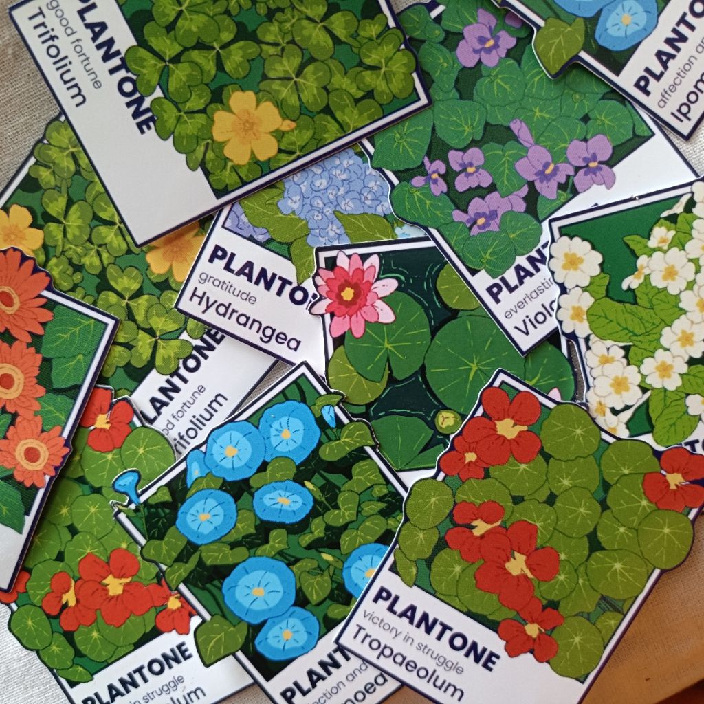 

Plantone Stiker