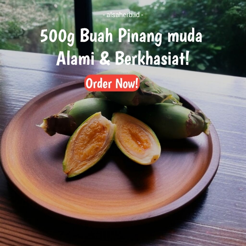 

Promo! Buah pinang muda 500gram Alami dan berkhasiat