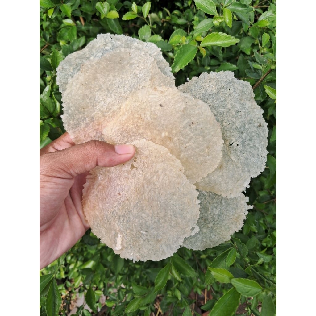 

Karak/Lempeng Legendar Mentah 1 kiloan