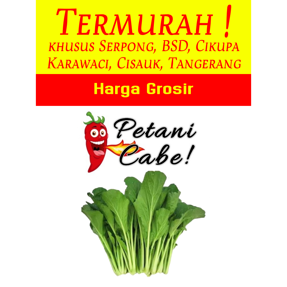 

Caisim 1 ikat Harga Grosir (Petani Cabe Serpong)