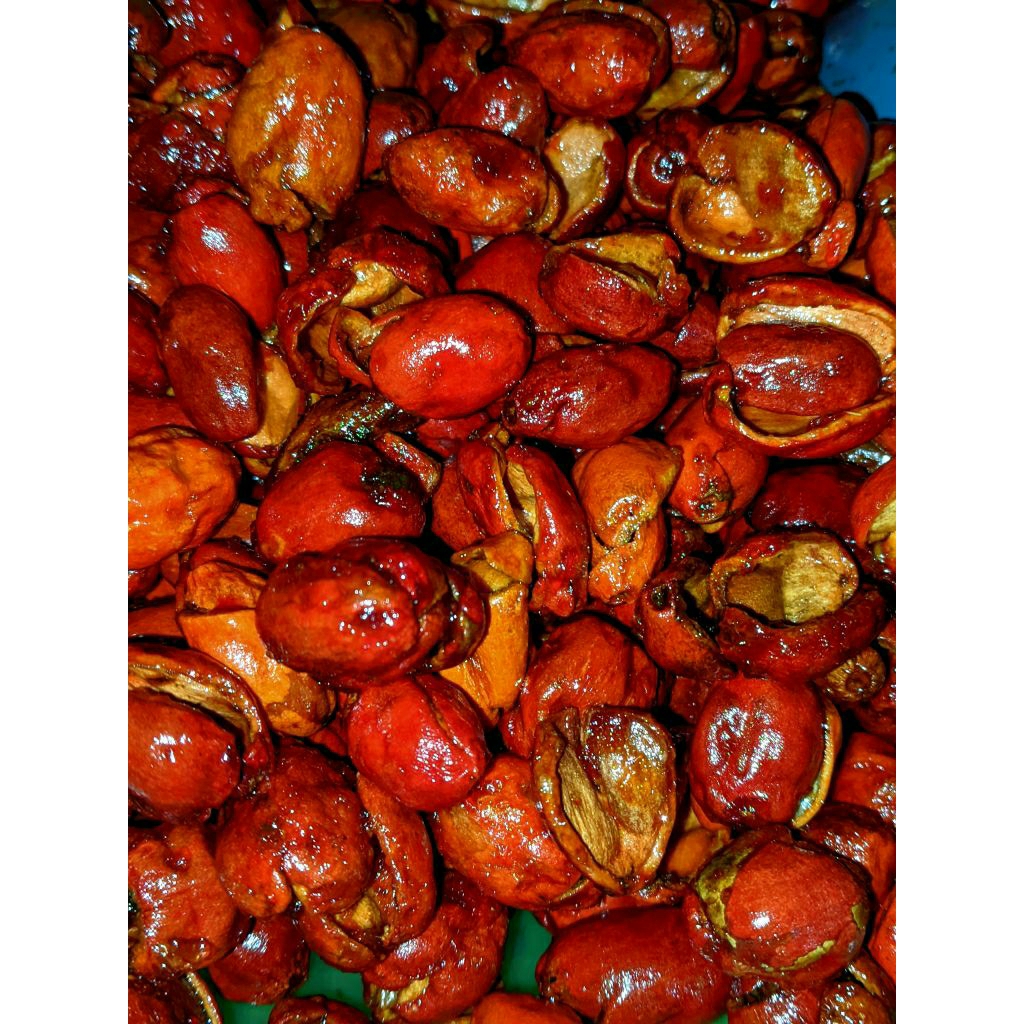 

Kripik Melinjo Pedas Asem Manis