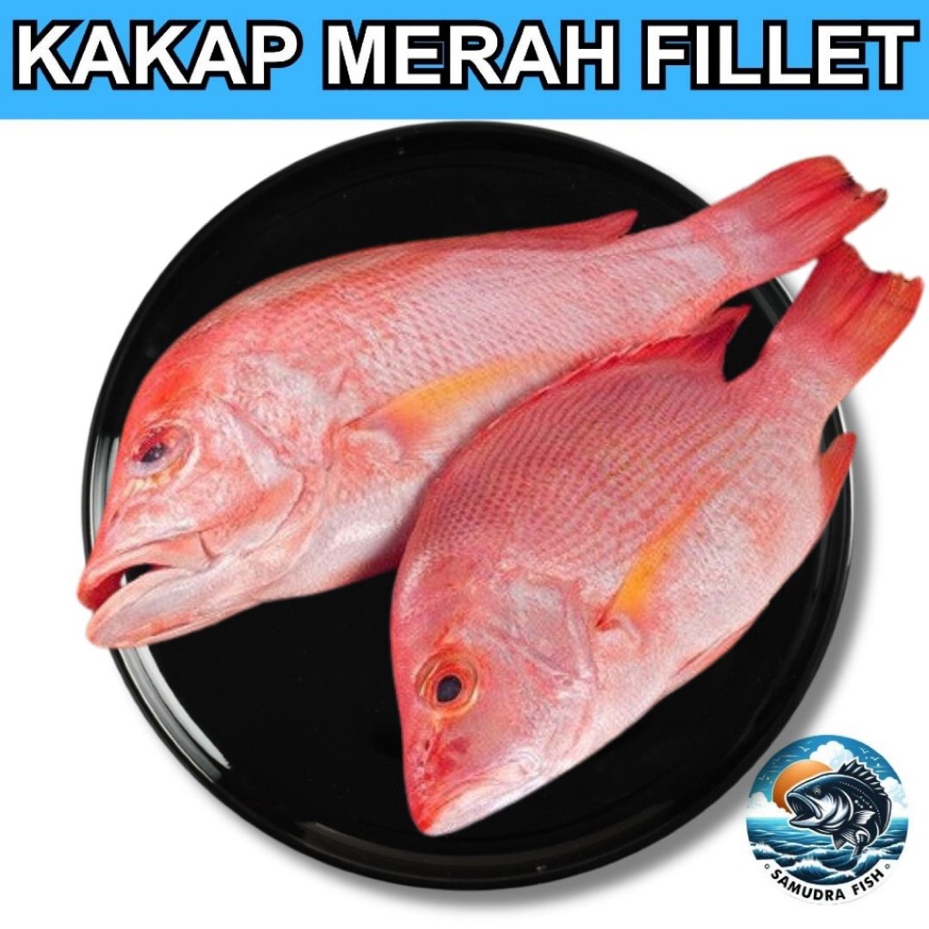 

Kakap Merah Premium | Ikan Semarang | Beli Ikan Segar Semarang | Belanja Ikan Semarang