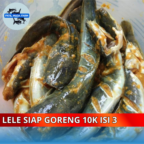 

Patil Muda Farm Lele Siap Goreng 10K Isi 3 ekor Ikan lele Marinasi Tanpa amis