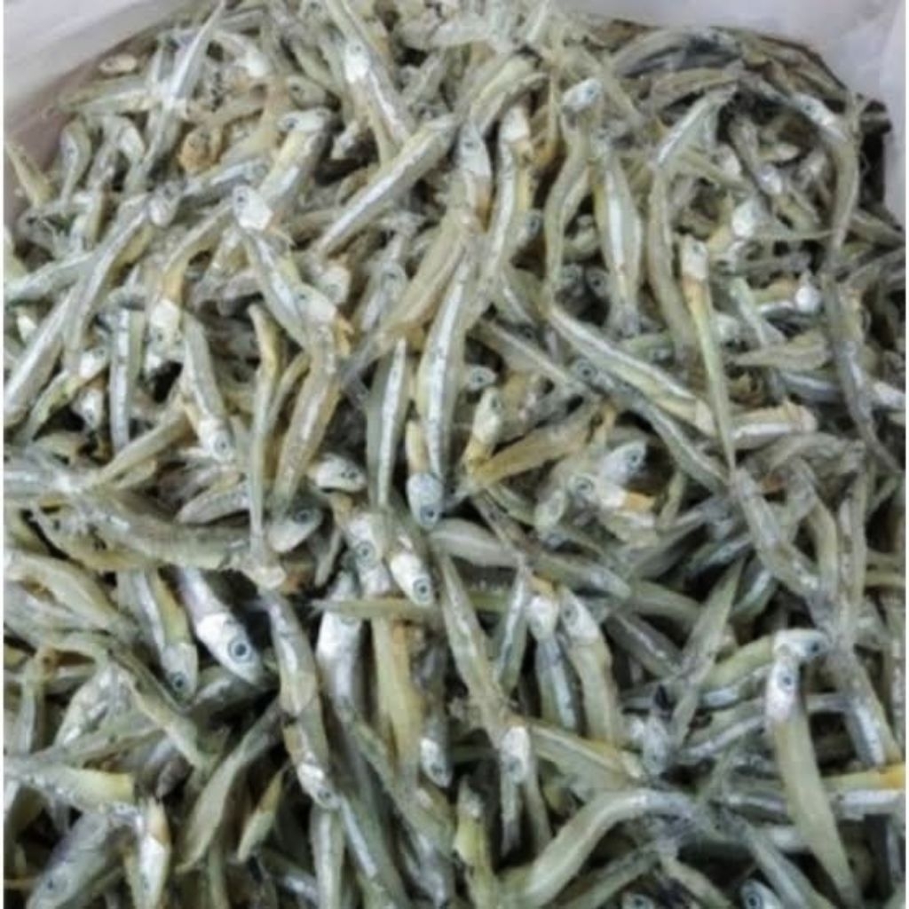 

Ikan teri jengki 250Gram Murah