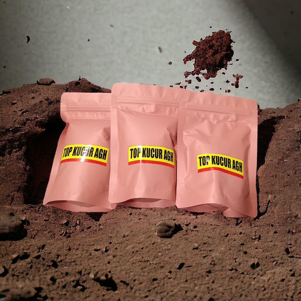 UMPAN KUCUR TOO KUCUR AGH,UMPAN MANCING IKAN BAUNG  AMPUH BERKUALITAS