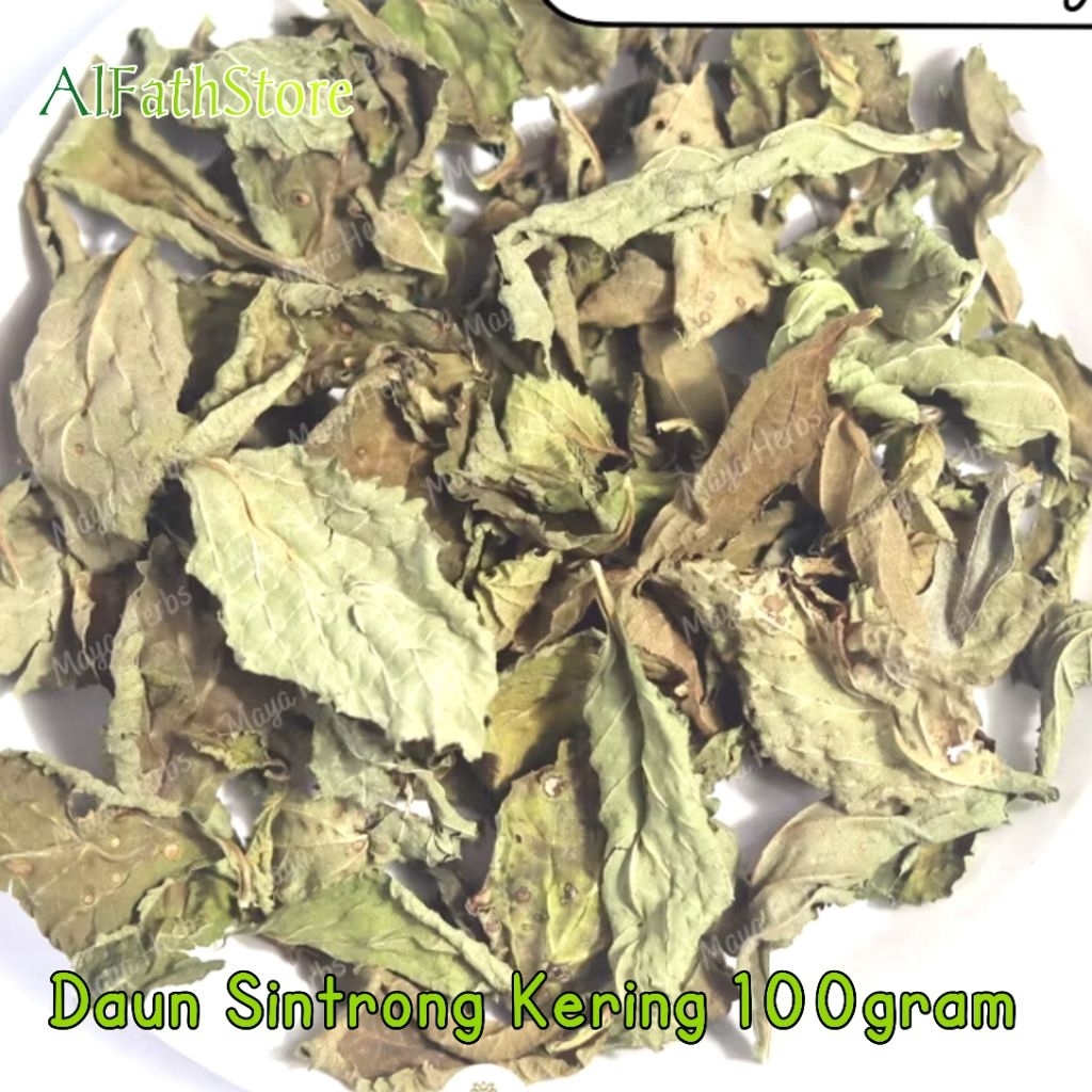 

Daun Sintrong Kering 100 gram
