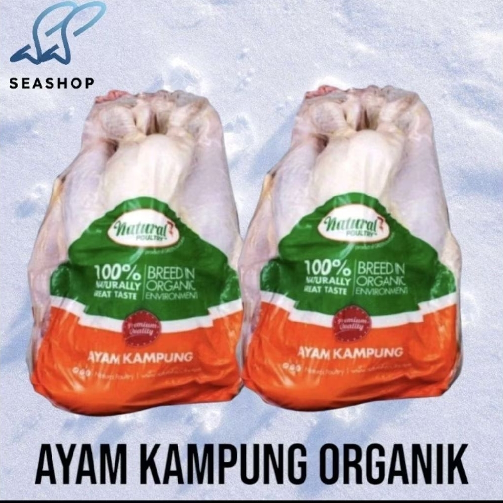 

Ayam Kampung Asli - Ayam Kampung Organik Probiotik - Natural Poultry
