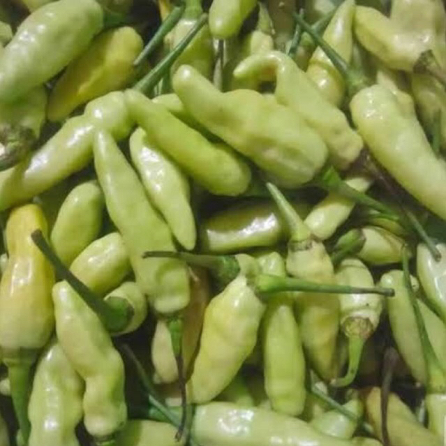 

Cabe Rawit Hijau 1kg | Cabe Rawit Putih 1kg | Cabe lalapan | Lombok lalap | Cabe Gorengan | Lombok putih