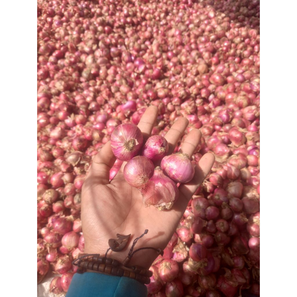 

Bawang merah segar/1kg