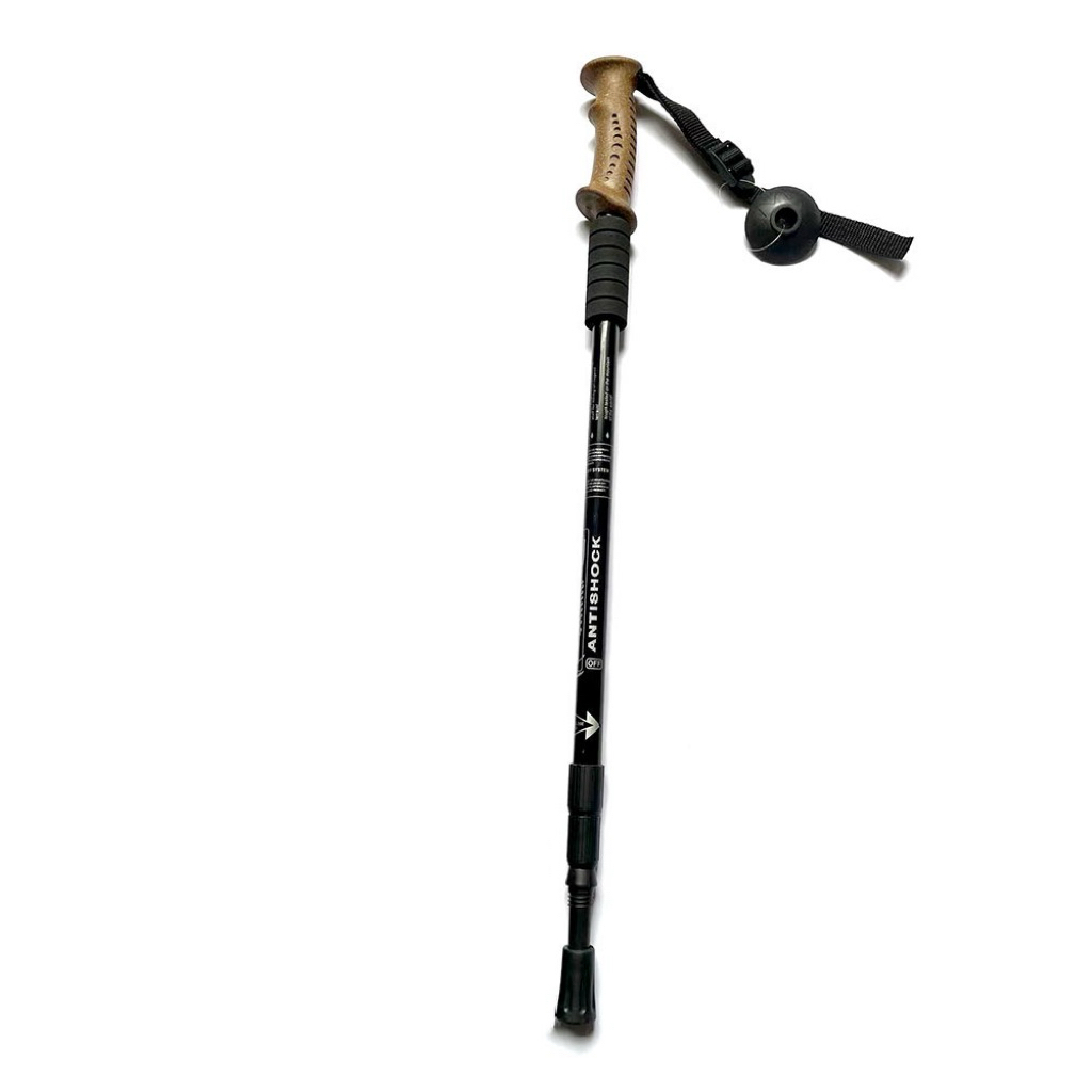 treking pole