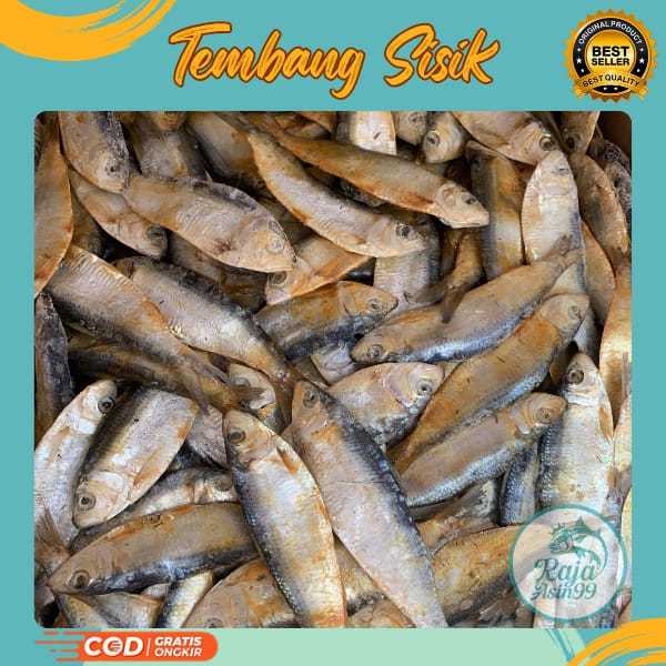 

IKAN ASIN TEMBANG SISIK KACA