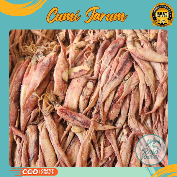 

CUMI ASIN JARUM PANJANG
