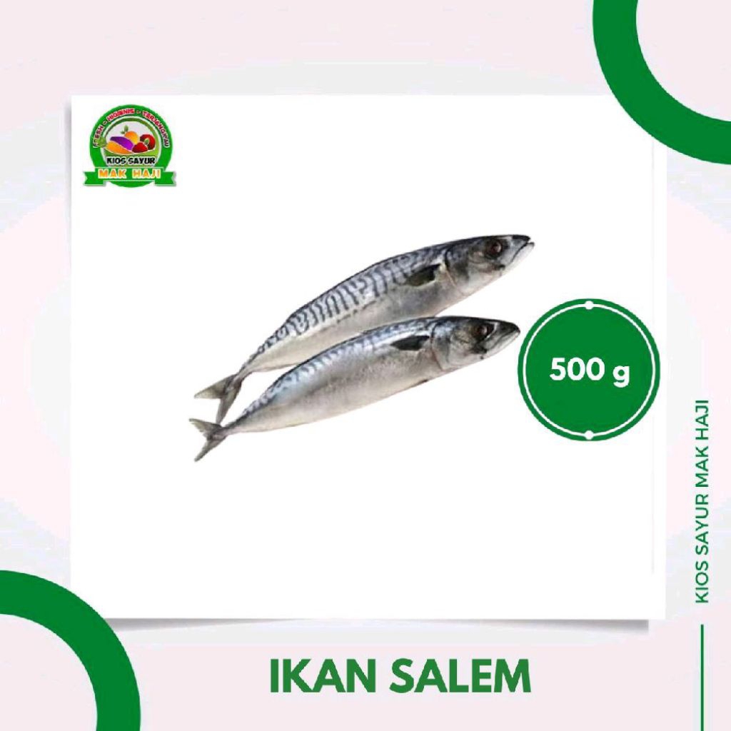 

Ikan Salem segar 500g