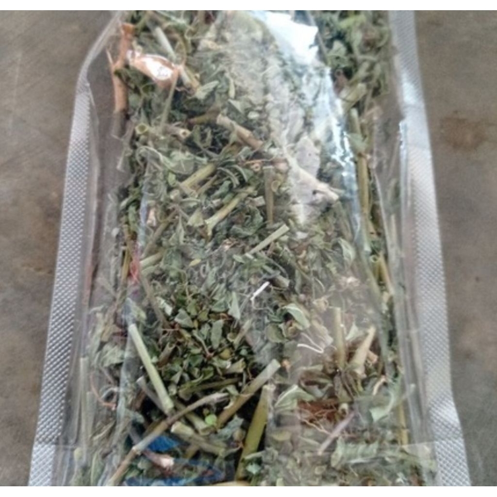 

Daun patikmas kering daun Katemas kering 100 gram-az