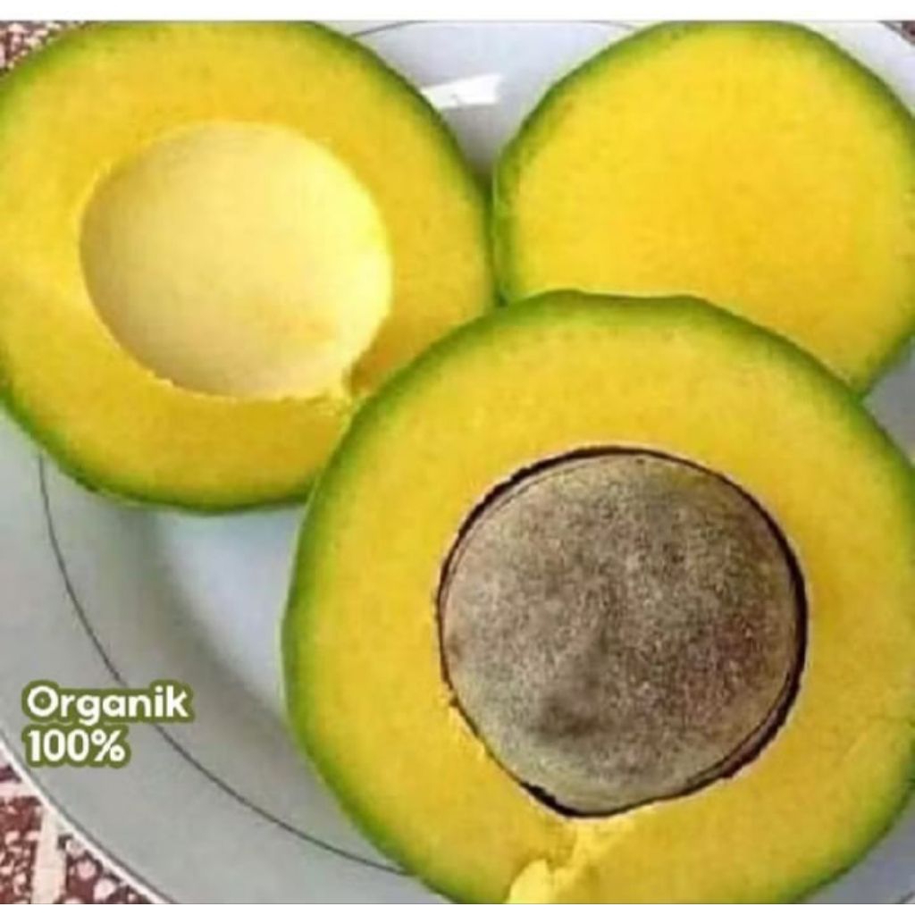 

Alpuket mentega sufer kuning 1kg isi 4-5 buah