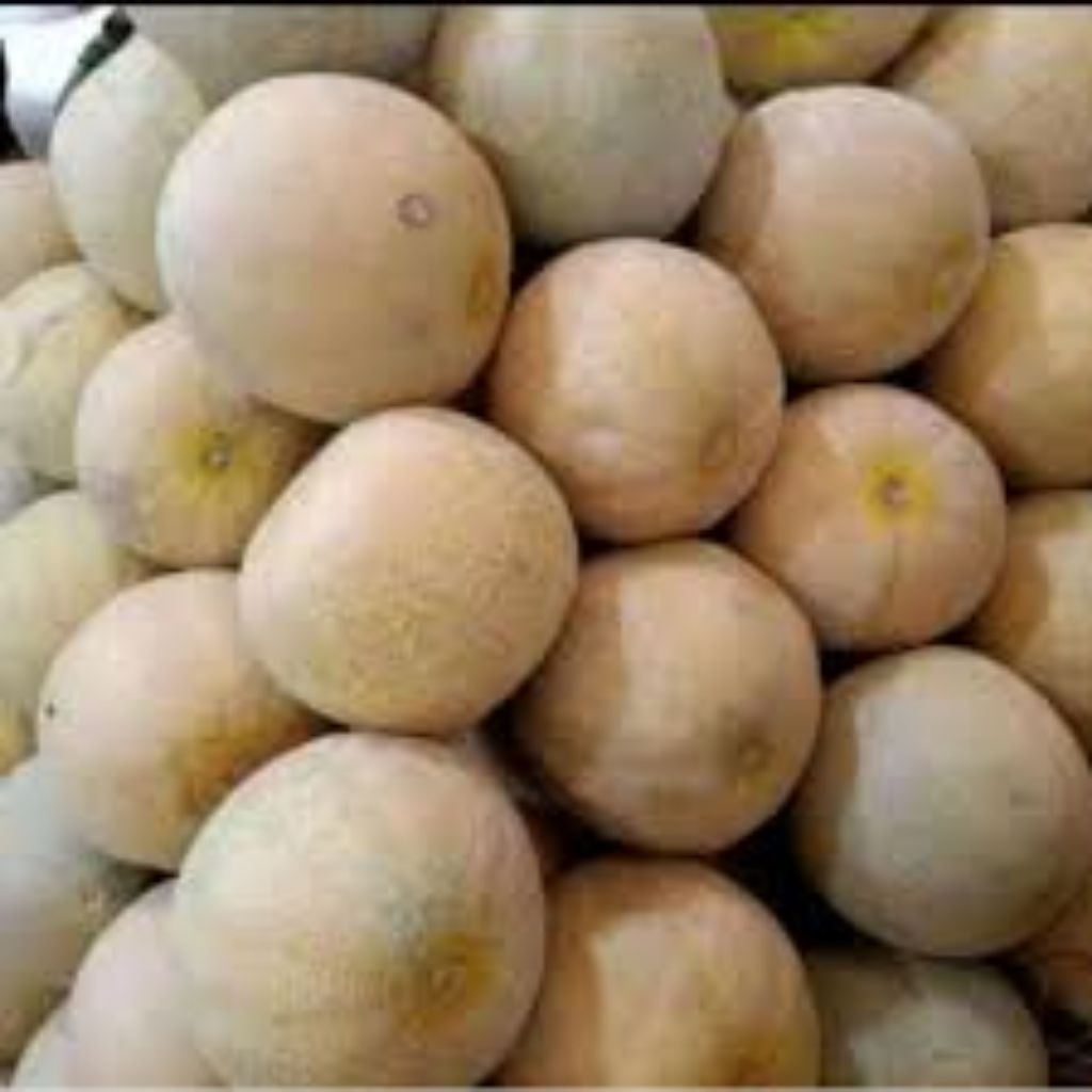 

buah melon lokal freshfruit