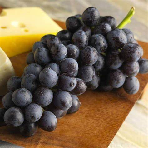 

ANGGUR MIDNIGHT BEAUTY SEEDLESS