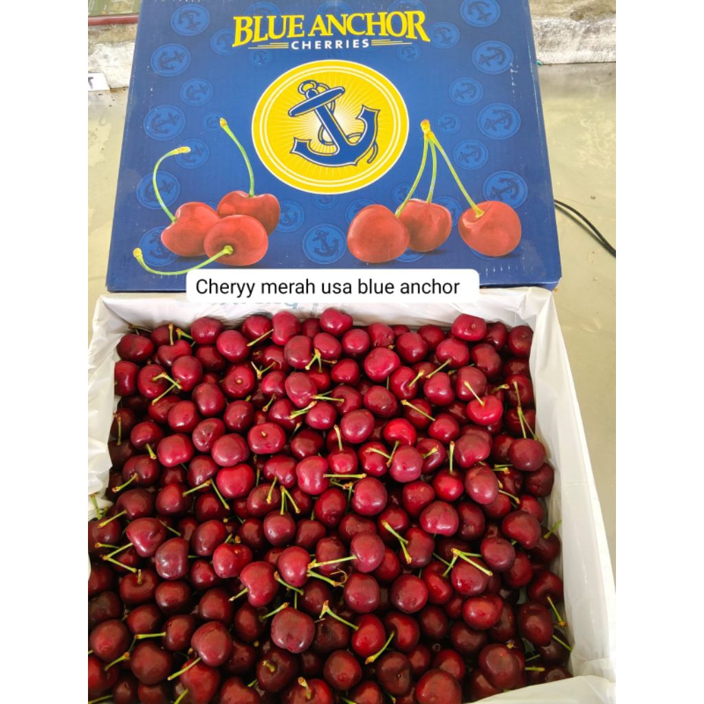 

Cherry Merah Blue Anchor Berat 100gram