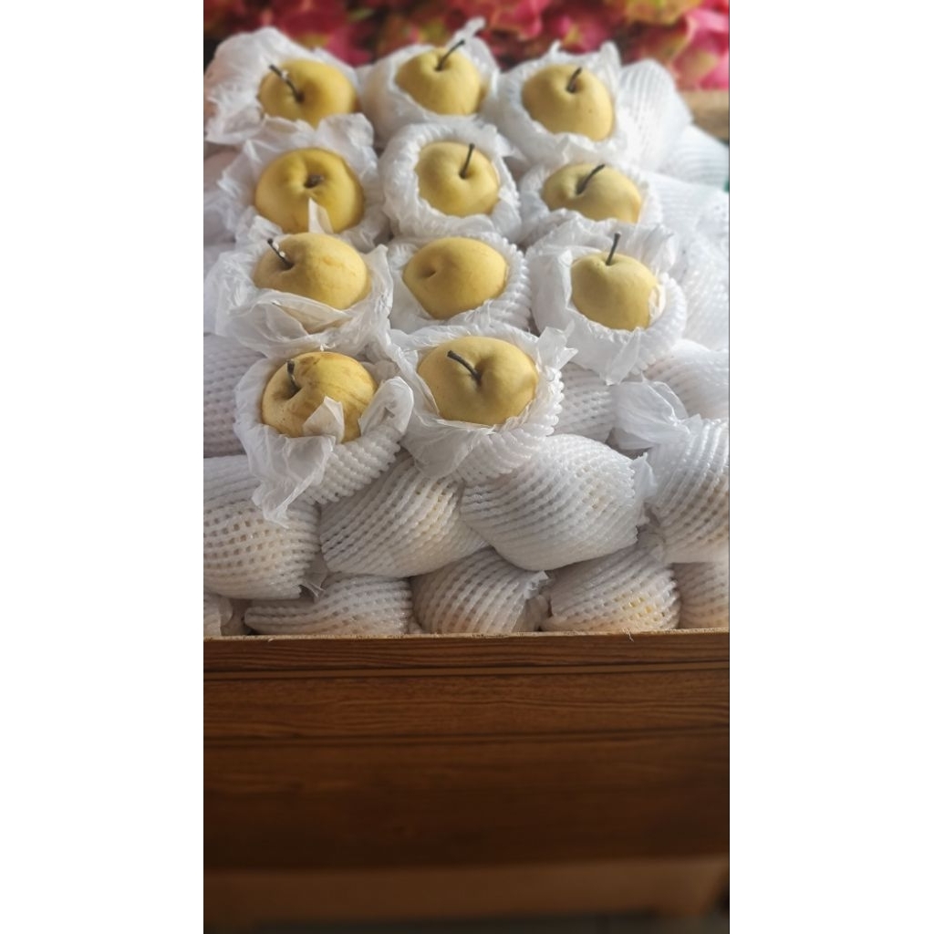 

Pear Sweet Century 60