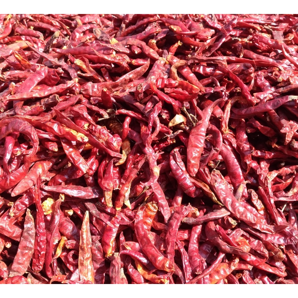 Albin Cabai Rawit Teja Kering | Cabai Kering | Cabai Rawit Merah | Cabai Rawit Murah