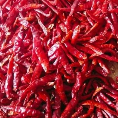 

Cabe besar Kering 1kg