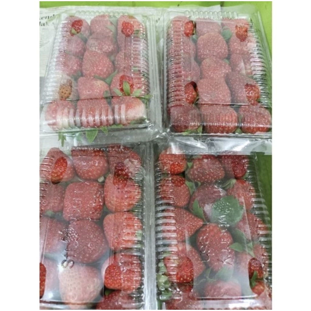 

Strawberry Segar Berastagi (±200gr)