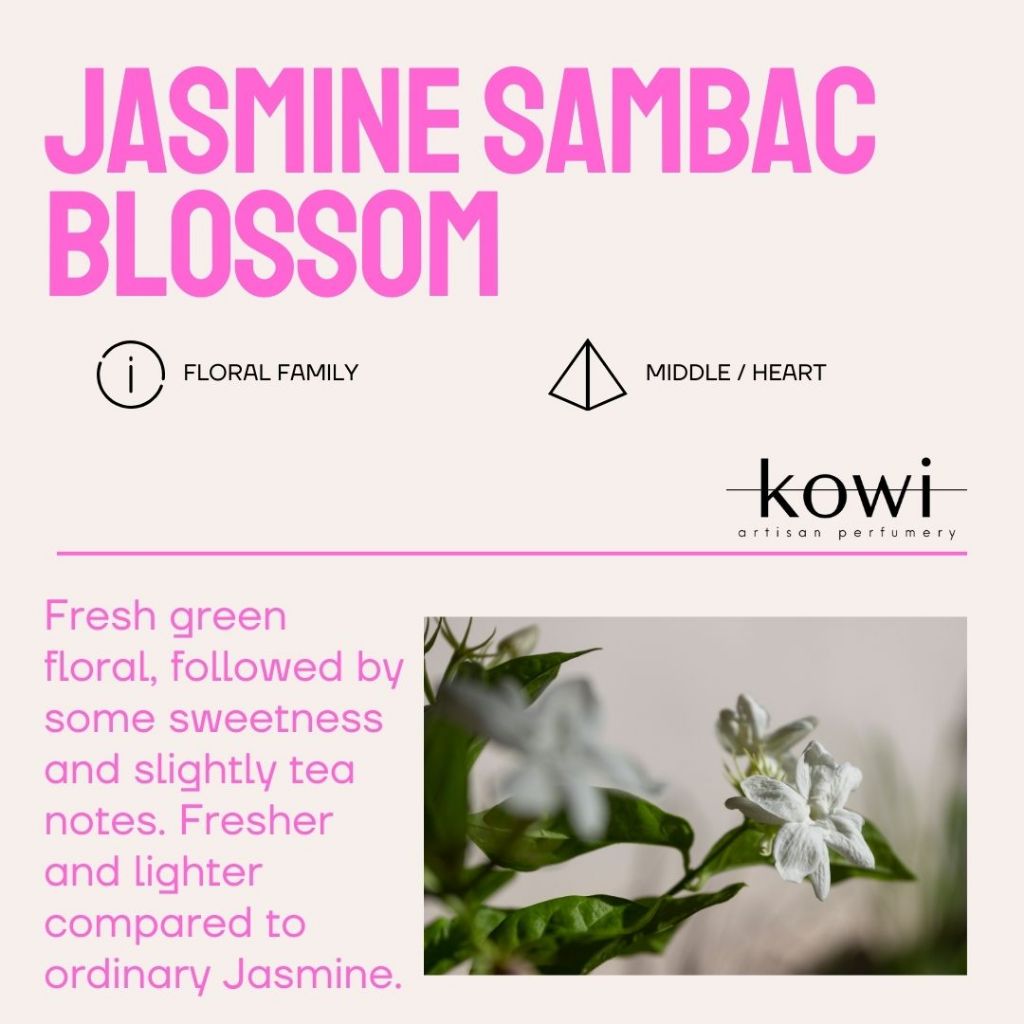 JASMINE SAMBAC BLOSSOM ACCORD