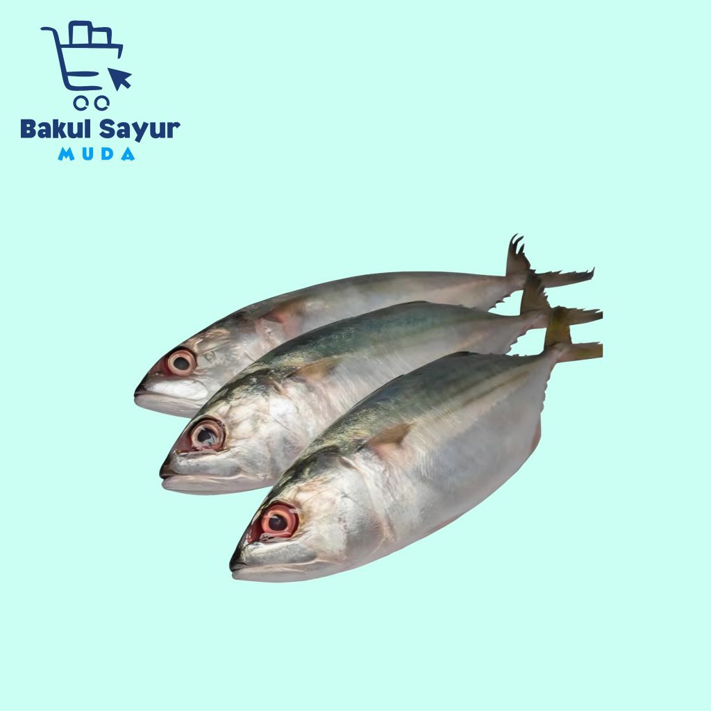 

Ikan Kembung Segar 500 Gram