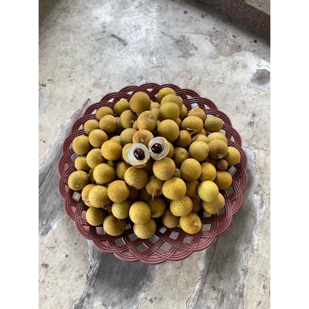 

buahfreshku - kelengkeng mas bangkok 500 gram