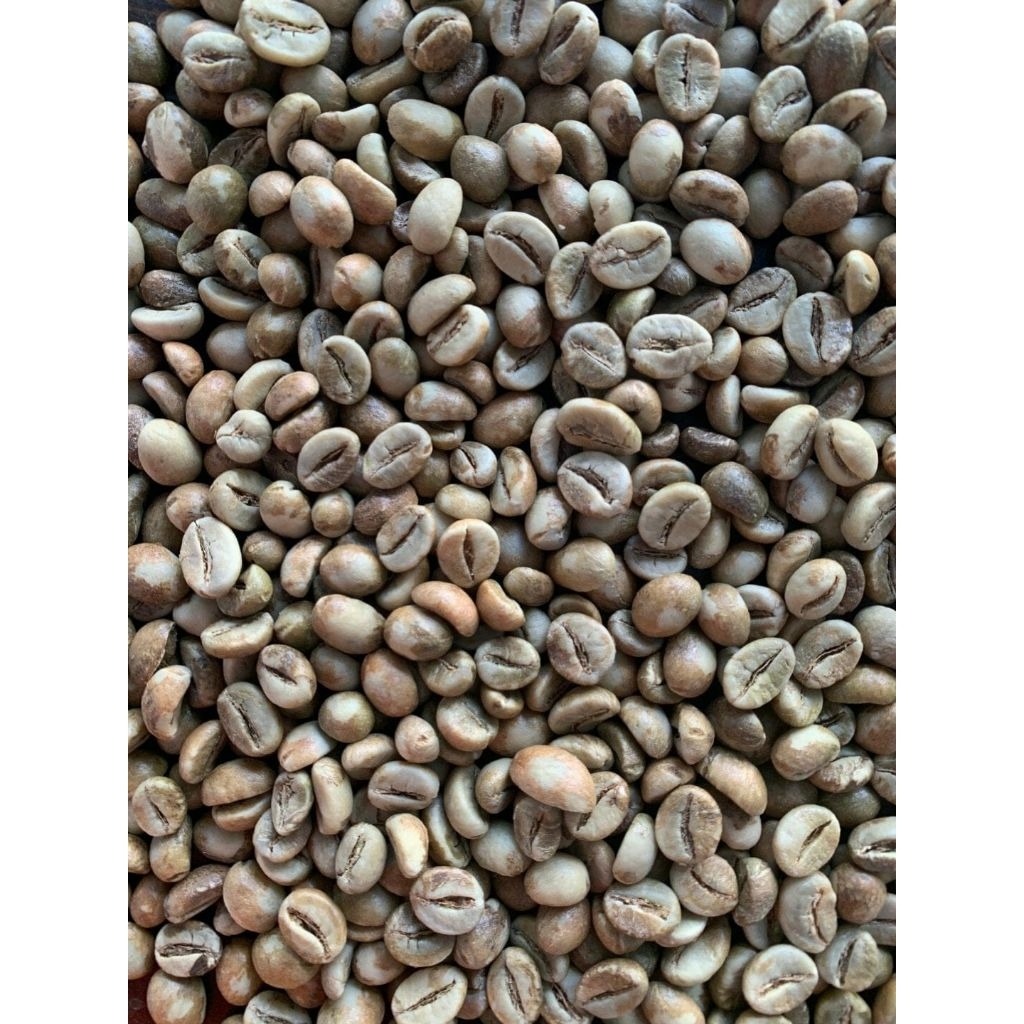 

Aceh/biji kopi arabica 500gr /kopi Aceh /greenbean