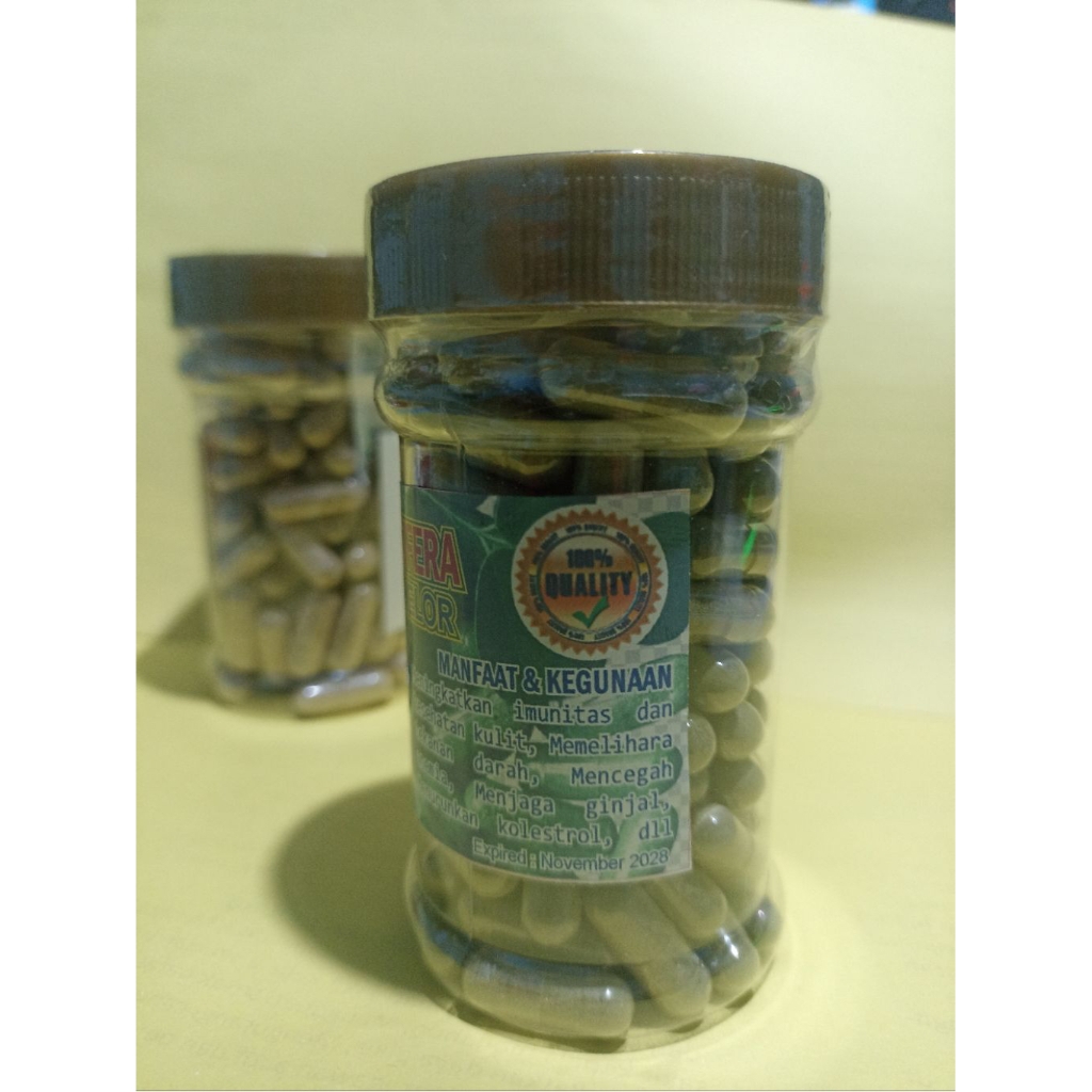 

Kapsul Daun Kelor Kemasan Botol Segel 100 Biji