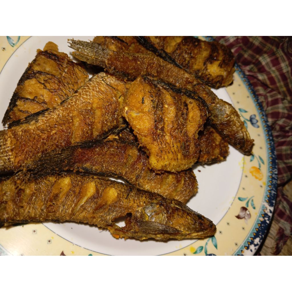 

IKAN GABUS GORENG 500 GRAM
