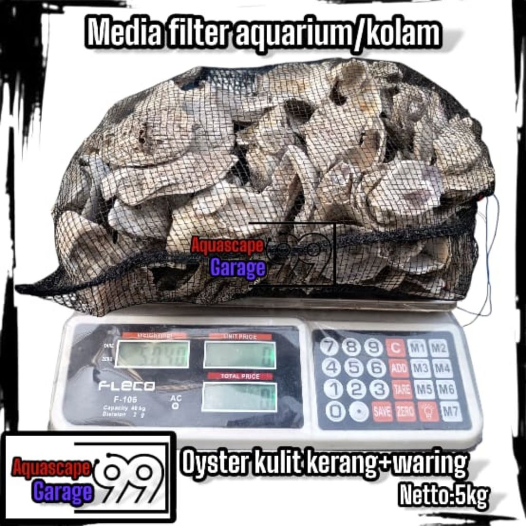 Oyster 5 kg plus waring / oyster 5kg / oyster / media filter / kerang oyster / media filter koi / fi