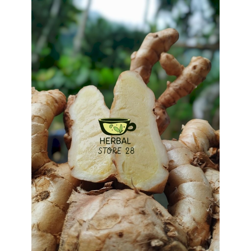 

kunyit putih bersih,sudah di cuci segar kunyit putih/kunyit fresh kemasan 250 gram