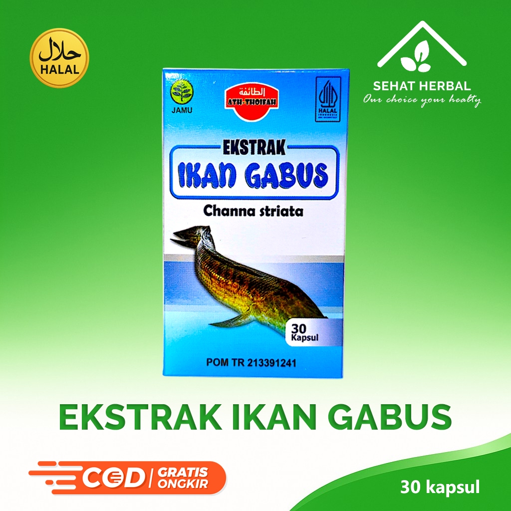 Kapsul Ikan Gabus Albumin Ikan Gabus | Obat Penghilang Bekas Luka & Obat Luka Pasca Operasi