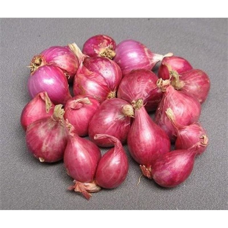

BAWANG MERAH KERING BESAR - TANGGUNG