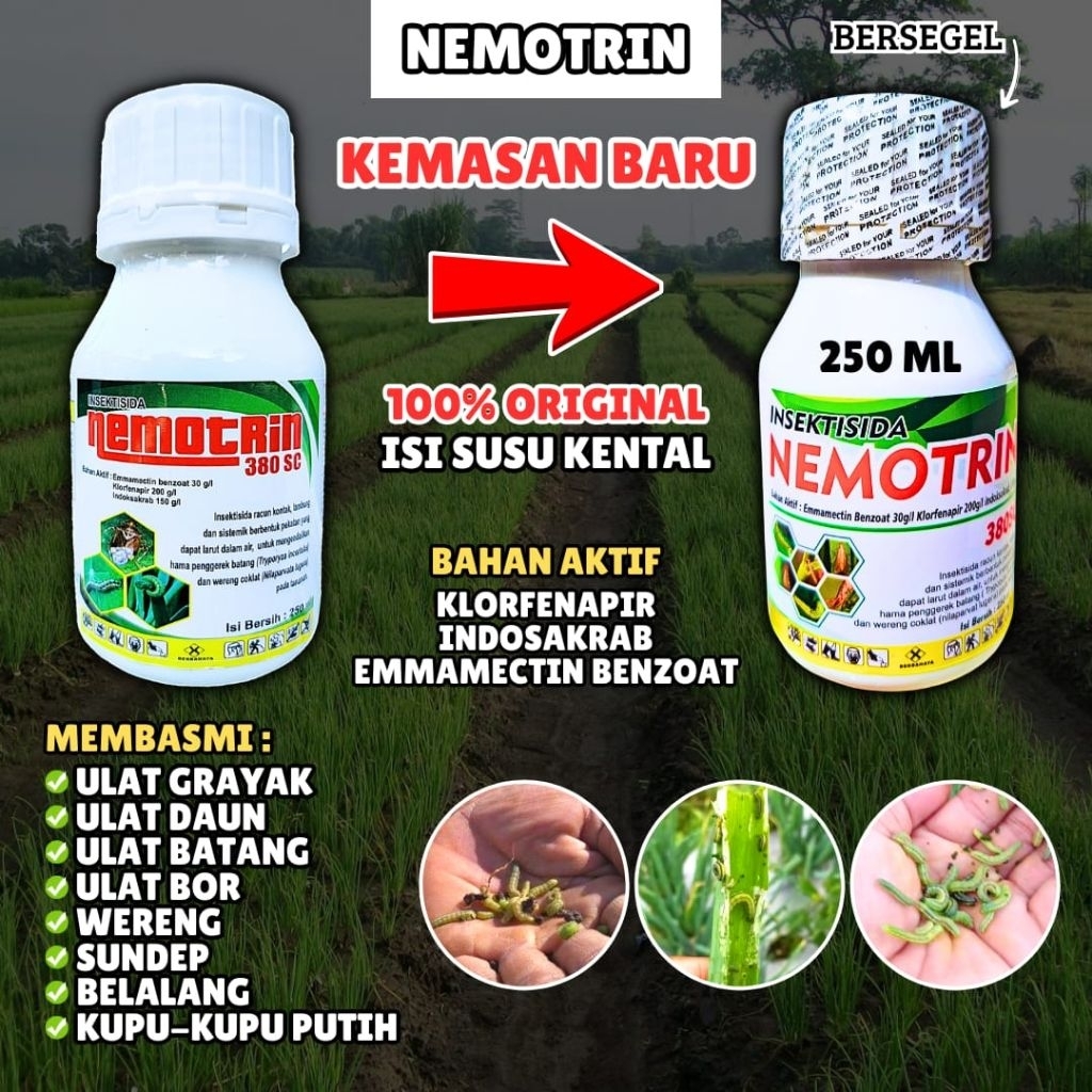 INSEKTISIDA SISTEMIK SOLUSI PARA TANI / Insektisida Cair / Insektisda ampuh / Insektisida pembasmi u