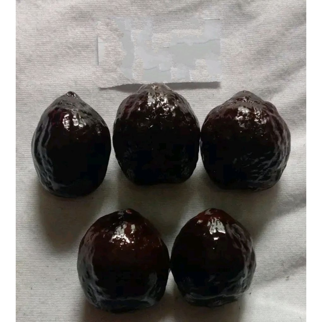 muncang aduan jalim jawa