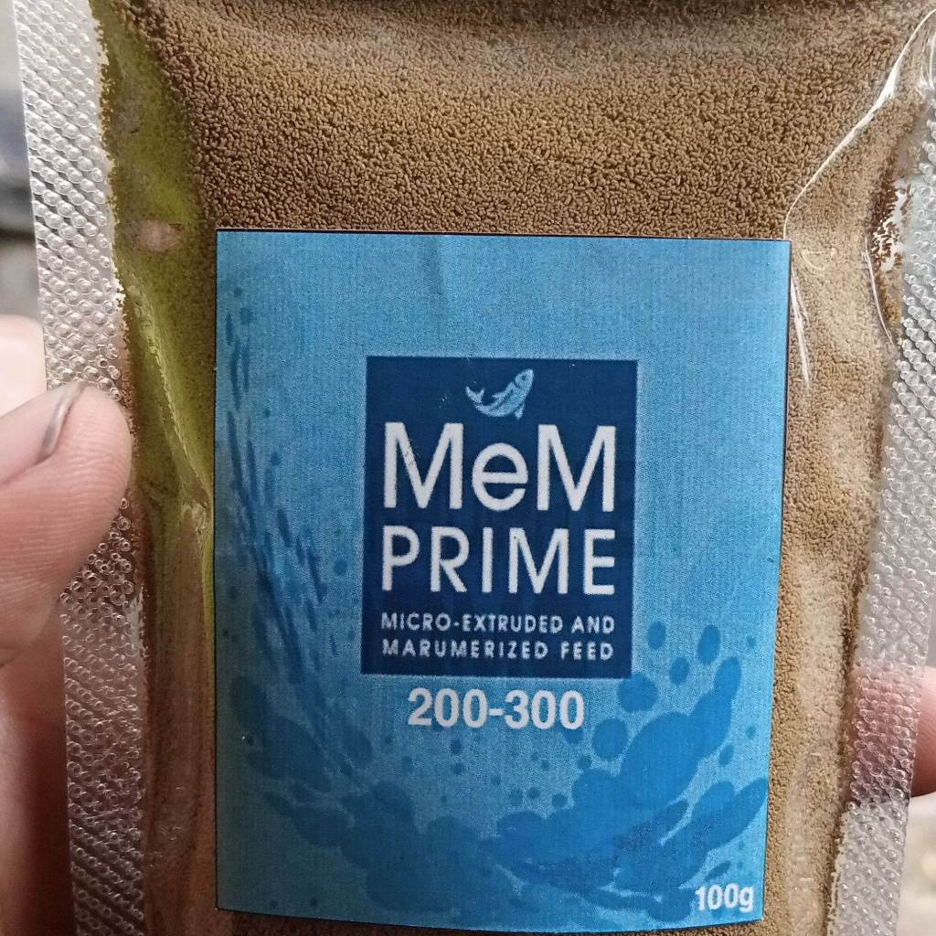 Pakan ikan hias Mem Prime 200-300 (Burayak, ikan aquascape kecil)