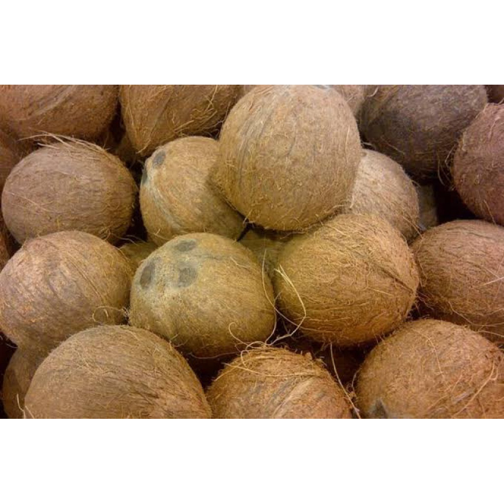 

kelapa santan per biji