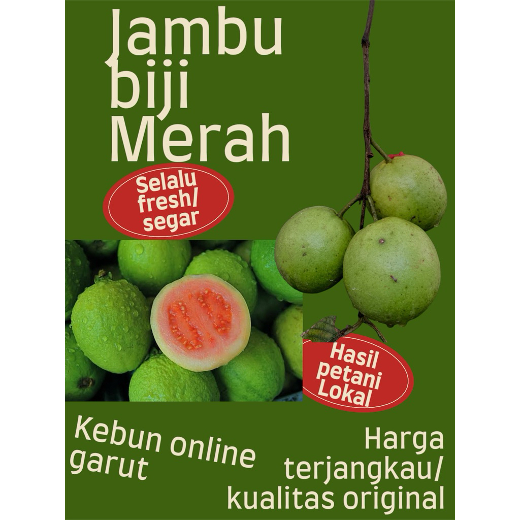 

Jambu biji merah fresh 1kg jambu jus tidak busuk