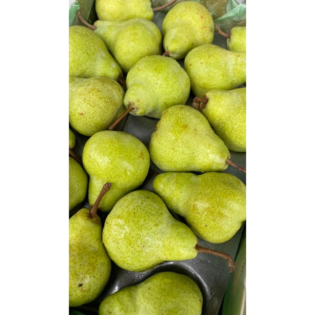 

Buah Pear Pakcham Import USA | Pear Pakam Hijau 1Kg