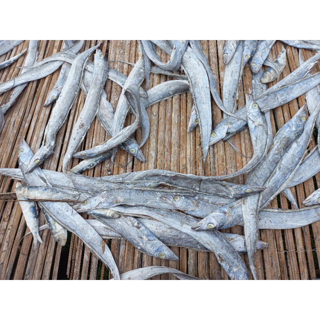 

Ikan Jemur BALEDANG ASIN Sibolga