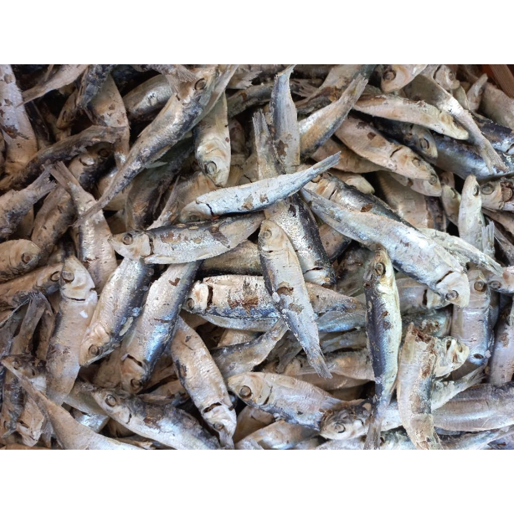 

Ikan Jemur MANING / SARDEN ASIN Sibolga