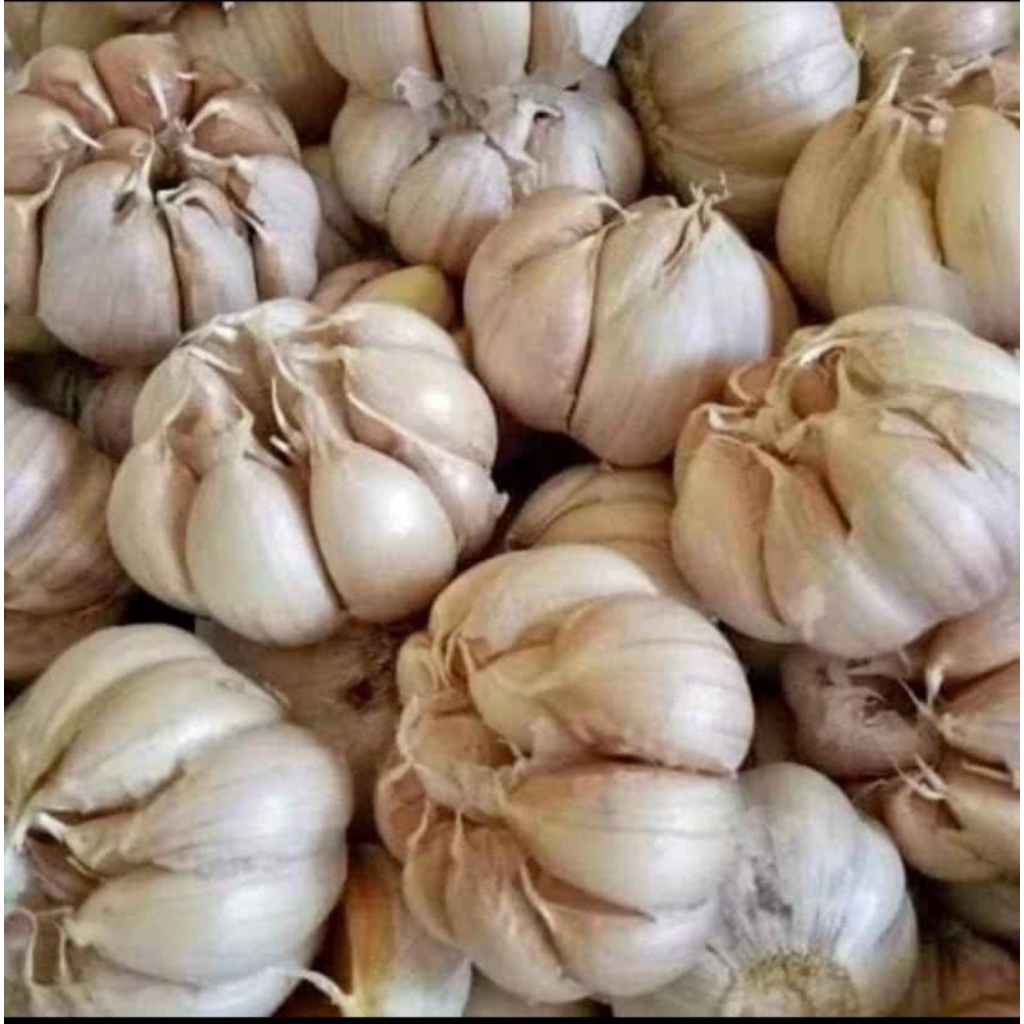

bawang putih 250gram