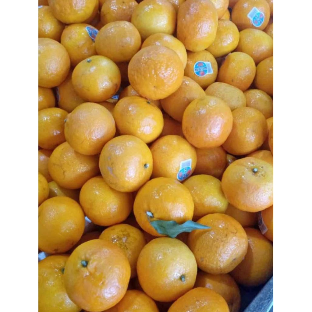 

jeruk Mandarin 500 gram