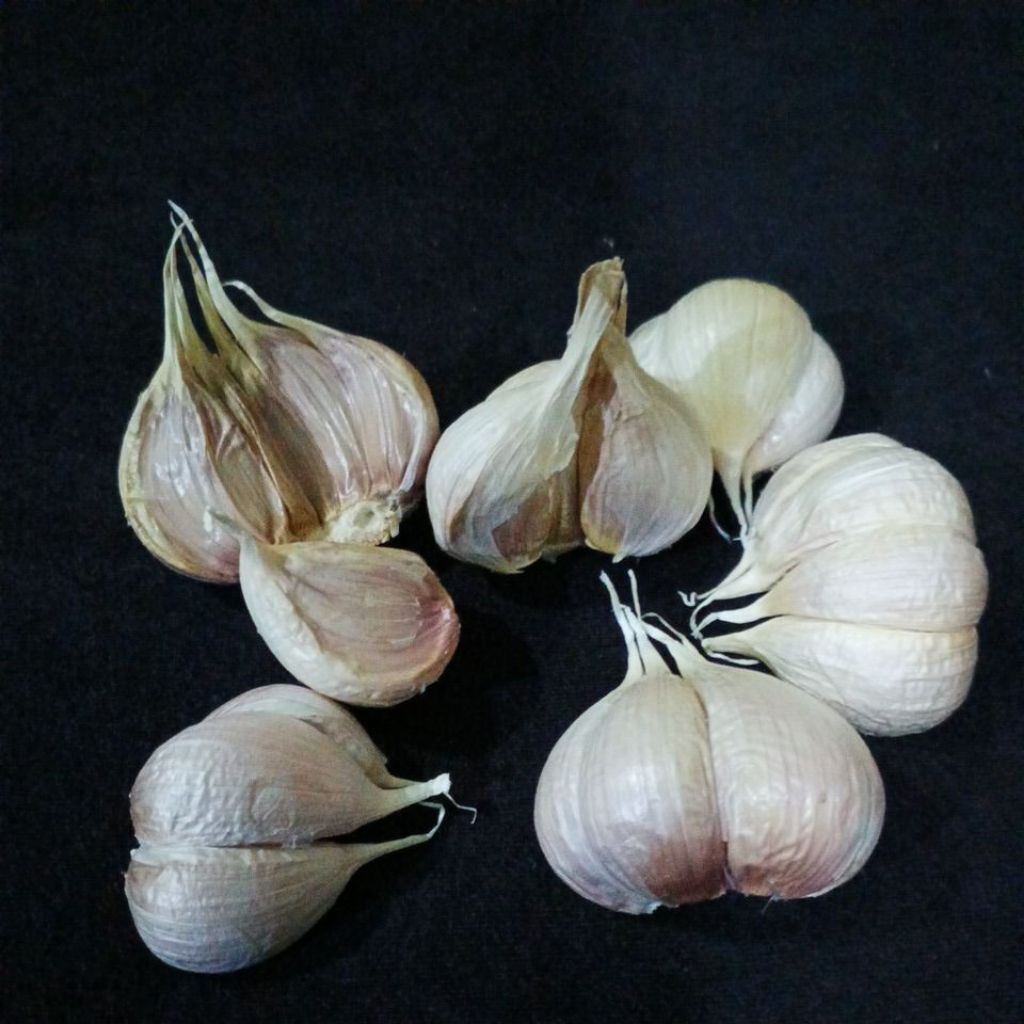 

BAWANG PUTIH KATING 1KG kualitas terbaik dengan harga terjangkau
